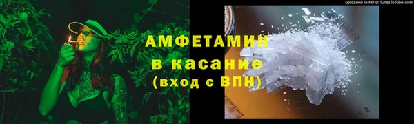 твердый Ельня