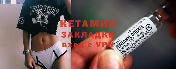 твердый Ельня
