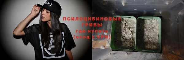 твердый Ельня