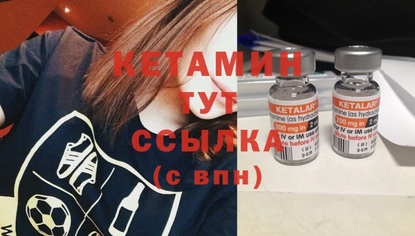 твердый Ельня