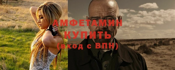 твердый Ельня
