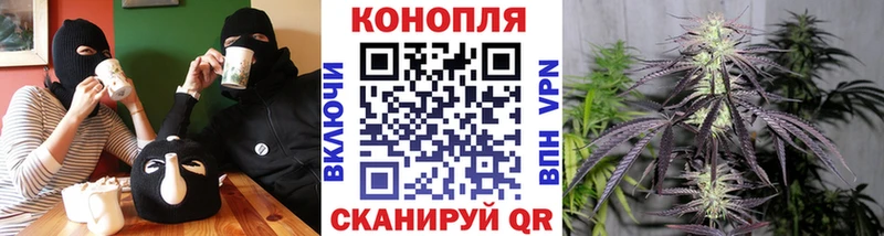 Купить  Шарыпово  Канабис AK-47 